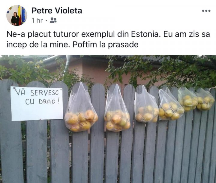 S-au inspirat de la străini. Doi agricultori din nordul ţării oferă gratuit fructe (FOTO)