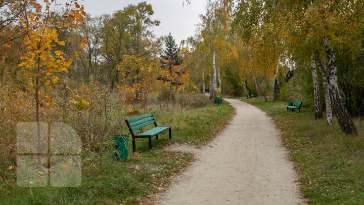 Toamna, în culori ce par că s-au prelins din paleta unei acuarele. Imagini ce par rupte dintr-o poveste