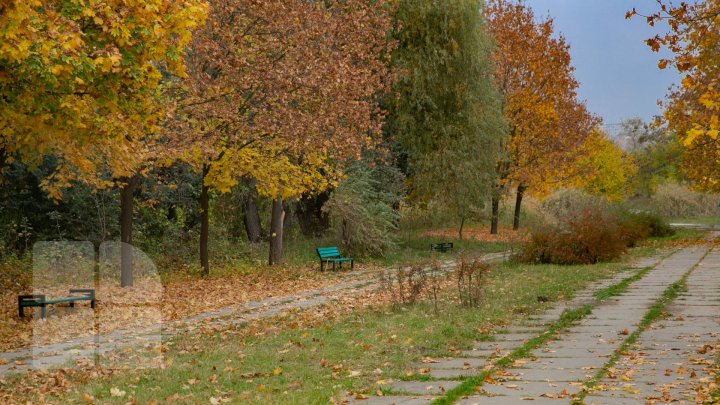 Toamna, în culori ce par că s-au prelins din paleta unei acuarele. Imagini ce par rupte dintr-o poveste