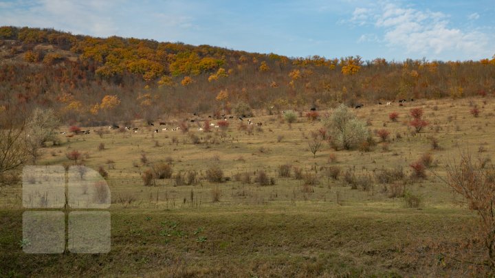 tur de presă în arealul Rezervației Cultural-Naturale Orheiul Vechi (FOTOREPORT)