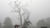 DATE ÎNGRIJORĂTOARE: Poluarea aerului continuă să se înrăutăţească în capitala Indiei New Delhi