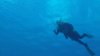 ȘOCANT! Bărbatul care a fost atacat de rechin în apropierea Marii Bariere de Corali, A MURIT