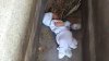 STRIGĂTOR LA CER! Un bebeluş de doar două luni, GĂSIT în cimitir, printre morminte (FOTO)