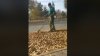 DE RÂS ŞI DE PLÂNS! Ce fac doi muncitori cu maşina de tuns iarbă printre frunzele căzute. Oamenii, ULUIŢI (VIDEO)