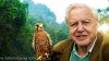 Naturalistul David Attenborough a fost desemnat cea mai populară persoană în rândul britanicilor