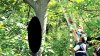 DESCOPERIRE DE COŞMAR: Scheletul unui bărbat spânzurat de mai bine de un an, găsit într-un copac 