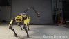Vă mai amintiți de roboții Spot Mini de la Boston Dynamics? Au primit o îmbunătățire (VIDEO)