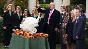 ZIUA RECUNOŞTINŢEI: Cei mai norocoşi curcani ai anului au fost grațiați de Donald Trump