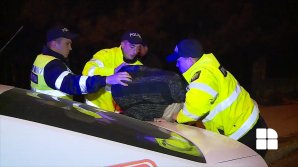 Un şofer din Capitală, prins BEAT LA VOLAN. S-a dat în spectacol în faţa poliţiştilor (VIDEO)