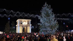 De sărbători, în centrul Capitalei va fi instalat un brad artificial