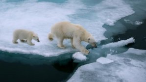 2018, pe cale să devină unul dintre cei mai călduroși ani de pe Terra. Avertismentul ONU. Ce soluții propune Organizația