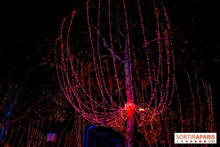 Feerie de iarnă la Paris. Luminile de Crăciun au fost aprinse pe bulevardul Champs Elysees (VIDEO/FOTO)