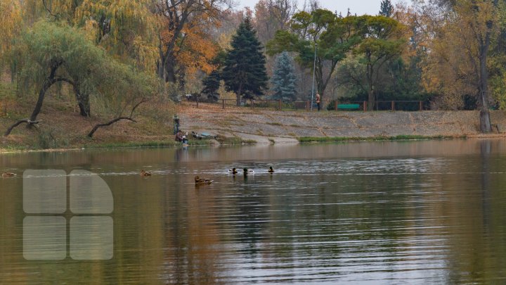 parcul Râşcani