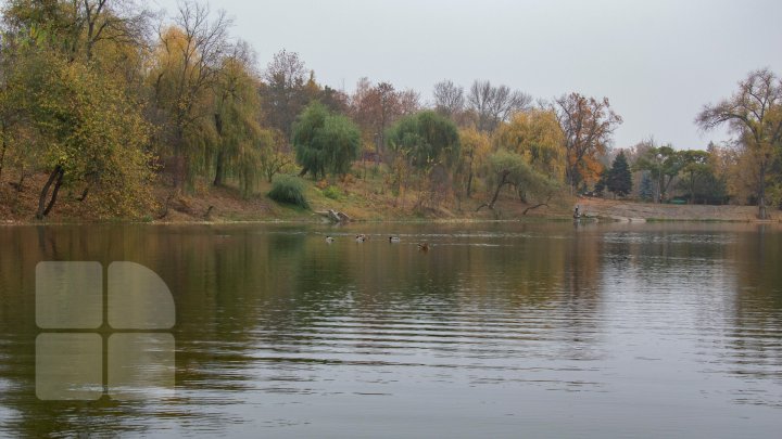 parcul Râşcani