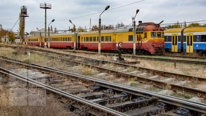 MASACRU PE CĂILE FERATE din România! Un tren a lovit cinci cai