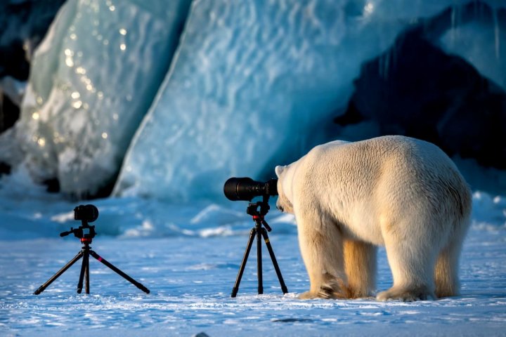 Au stârnit HOHOTE DE RÂS! Cele mai amuzante poze cu animale din 2018 (GALERIE FOTO)