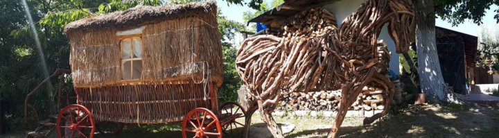 Un tânăr meşter din Capitală a realizat un adevărat obiect de artă din viţă de vie (FOTO)