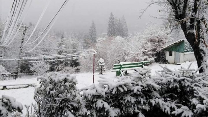 Peisaje de iarnă fascinante. Ninge ca-n poveşti la munte (FOTO) 