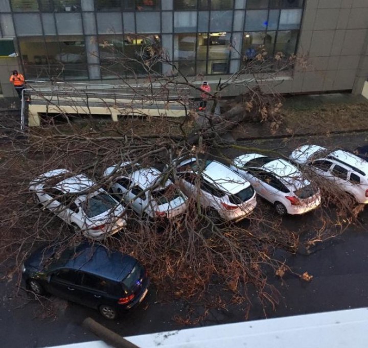 PRIVELIŞTE APOCALIPTICĂ. Şase automobile parcate, AVARIATE de un copac doborât de vânt (FOTO)