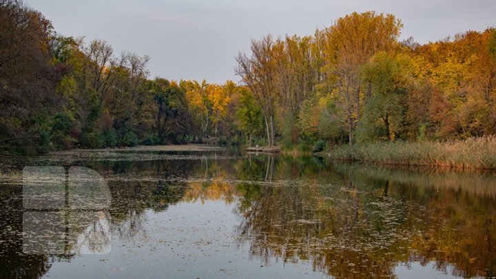 Vremea se răceşte în următoarele zile. Vom avea temperaturi cu minus