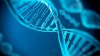 STUDIU: Speranţa de viaţă a unei persoane ar putea fi prezisă prin analiza ADN