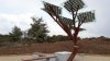 Doi arbori solari vor fi instalaţi în Capitală. STRĂZILE VIZATE. Sub ei vom putea încărca telefonul şi accesa Internetul gratuit