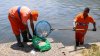 DEZASTRU ECOLOGIC în Rio de Janeiro. 15 tone de peşti morţi, scoase din laguna Rodrigo de Freitas