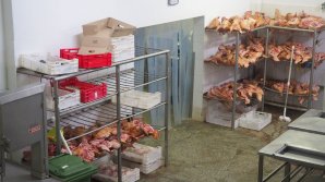 Carne păstrată în condiţii oribile. Urma să ajungă pe mesele oamenilor (VIDEO/FOTO)