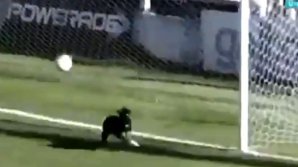 INTERVENŢIE AMUZANTĂ. Momentul în care un câine ajută o echipă de fotbal să nu primească gol (VIDEO)