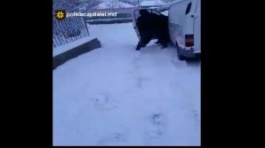 Un bărbat de 40 de ani, reţinut de poliţie după ce a furat un automobil din comuna Budeşti (VIDEO)
