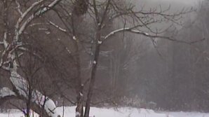 Un băieţel de trei ani a supravieţuit miraculos după ce a parcurs trei kilometri prin pădure, pe un ger de minus 35 grade Celsius