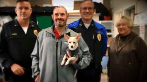 Când cuvintele nu îşi mai au rostul. GESTUL EMOŢIONANT făcut de un om fără adăpost, care a găsit 17.000 de dolari pe stradă (VIDEO)