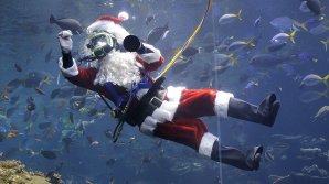 Surpriză pentru copii de la Academia de Ştiinţe din California: Moş Crăciun a apărut... în acvariu