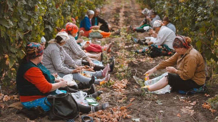 Mai multe persoane cu dizabilităţi psihice, obligate să lucreze pe câmp. Ce riscă infractorii