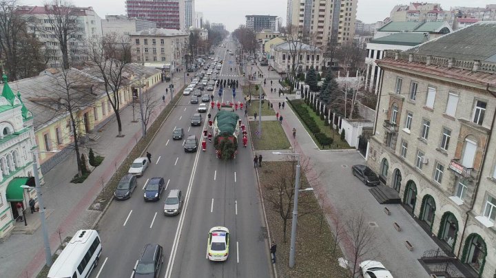 Bradul pentru Târgul de Crăciun a ajuns în Chişinău din munţii Carpaţi (FOTO)