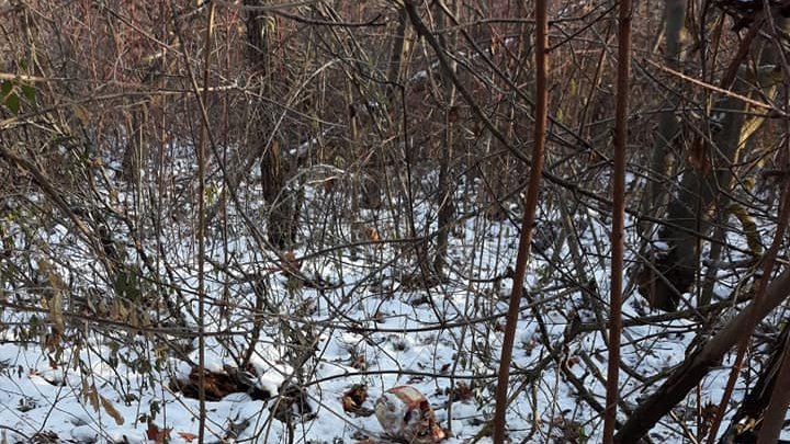 Descoperire ca în filmele de groază. Un craniu de om, găsit în parcul de la Ciocana (FOTO)