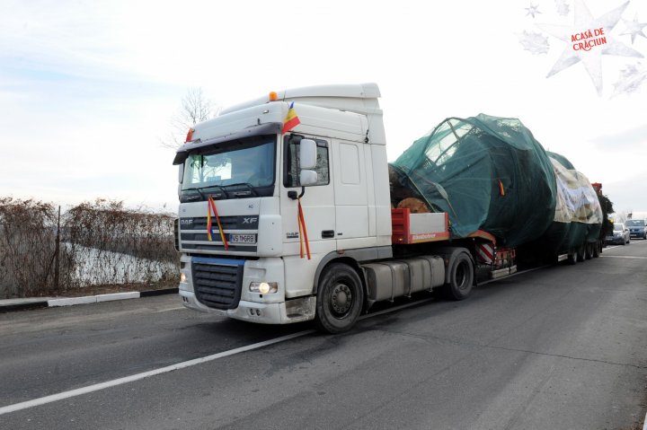 Bradul pentru Târgul de Crăciun a ajuns în Chişinău din munţii Carpaţi (FOTO)