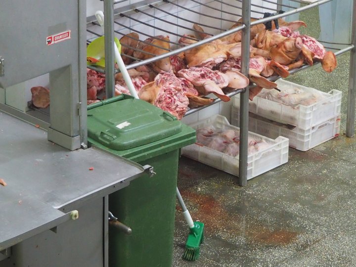 Carne păstrată în condiţii oribile. Urma să ajungă pe mesele oamenilor (VIDEO/FOTO)