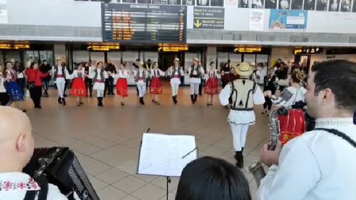 Zeci de pasageri s-au prins în Hora Unirii, în Aeroportul Otopeni din România (VIDEO)