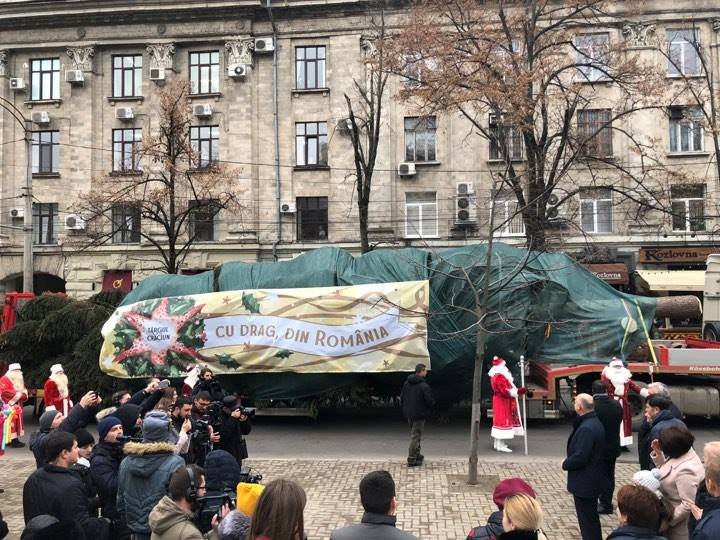 Bradul pentru Târgul de Crăciun a ajuns în Chişinău din munţii Carpaţi (FOTO)