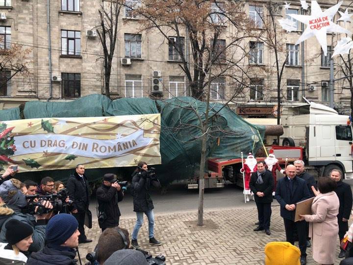 Bradul pentru Târgul de Crăciun a ajuns în Chişinău din munţii Carpaţi (FOTO)