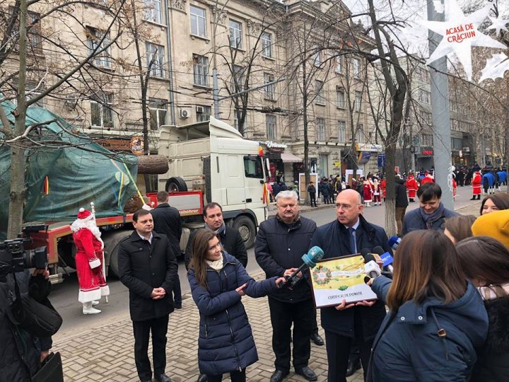 Bradul pentru Târgul de Crăciun a ajuns în Chişinău din munţii Carpaţi (FOTO)