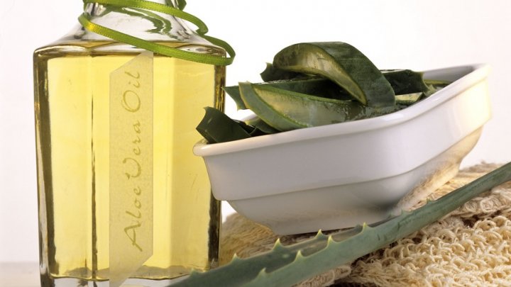 Tu ştiai? Ce întrebuinţări are planta Aloe Vera 