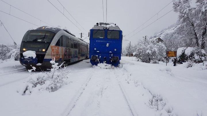 DEZASTRU în Romania. Școli închise, drumuri blocate, copaci rupți și sute de sate rămase fără lumină