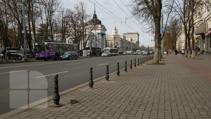 Șoferii continuă să parcheze pe trotuarul de pe bulevardul Ștefan cel Mare, chiar dacă Primăria a montat piloni impotriva parcării (FOTOREPORT)