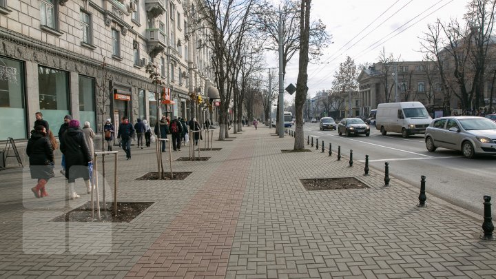 Șoferii continuă să parcheze pe trotuarul de pe bulevardul Ștefan cel Mare, chiar dacă Primăria a montat piloni impotriva parcării (FOTOREPORT)