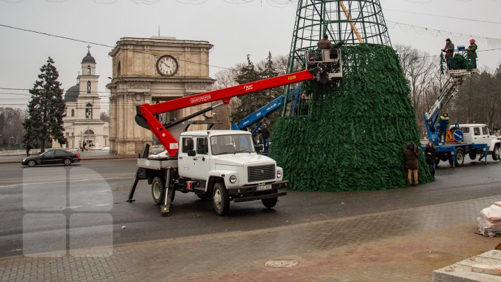 Pregătiri pe ultima sută de metri. Cum arată pomul de Crăciun, instalat în PMAN (FOTOREPORT)