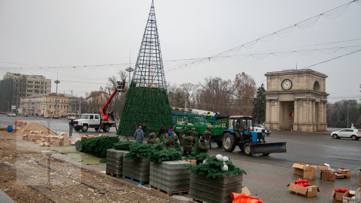 Pregătiri pe ultima sută de metri. Cum arată pomul de Crăciun, instalat în PMAN (FOTOREPORT)