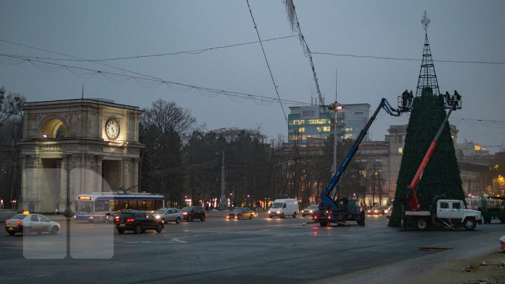 Pregătiri pe ultima sută de metri. Cum arată pomul de Crăciun, instalat în PMAN (FOTOREPORT)