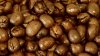 Veste rea pentru iubitorii de cafea. Motivul din care arborele de cafea dispare progresiv 